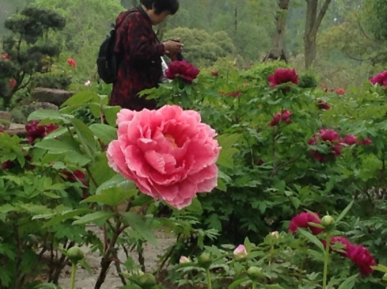 http://www.ilzvp.cn/dofiles/img/2014050482132607.jpg